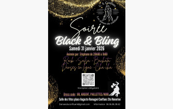 Soirée ROCK, SALSA, BACHATA, CHACHA ET DANSES EN LIGNE le samedi 31 janvier 2026